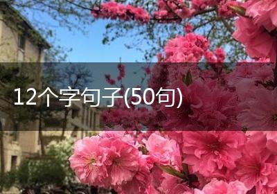 12个字句子(50句)