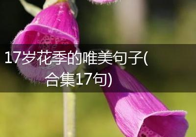 17岁花季的唯美句子(合集17句)