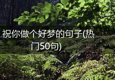 祝你做个好梦的句子(热门50句)
