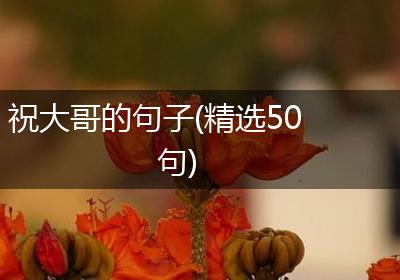 祝大哥的句子(精选50句)