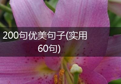 200句优美句子(实用60句)