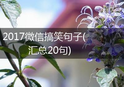 2017微信搞笑句子(汇总20句)