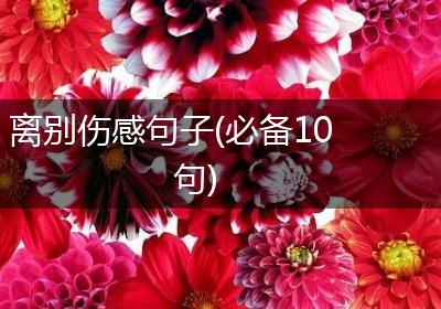 离别伤感句子(必备10句)
