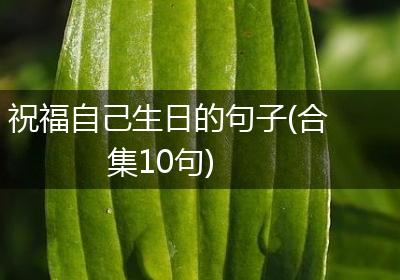 祝福自己生日的句子(合集10句)