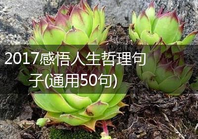 2017感悟人生哲理句子(通用50句)