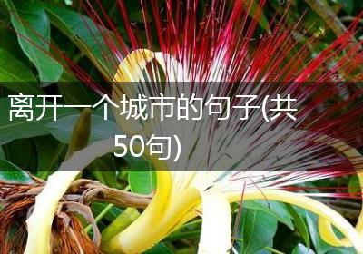 离开一个城市的句子(共50句)
