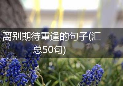 离别期待重逢的句子(汇总50句)