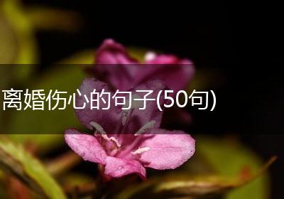 离婚伤心的句子(50句)
