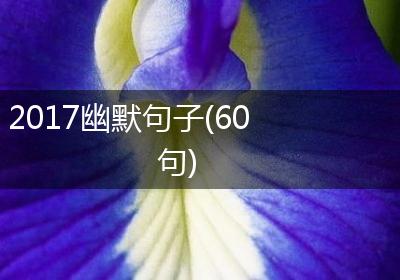 2017幽默句子(60句)