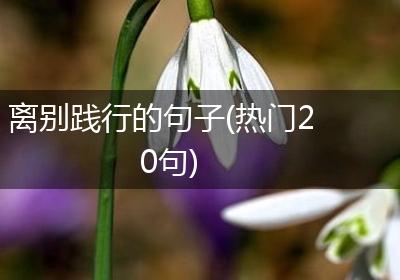 离别践行的句子(热门20句)