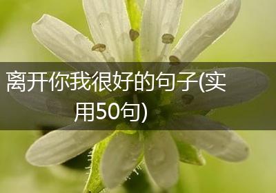 离开你我很好的句子(实用50句)