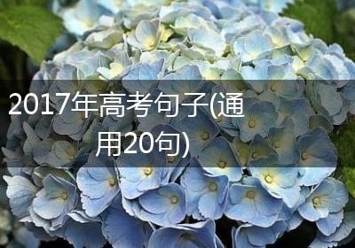 2017年高考句子(通用20句)