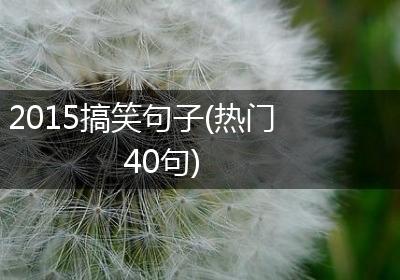 2015搞笑句子(热门40句)