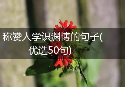 称赞人学识渊博的句子(优选50句)