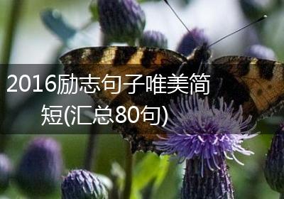 2016励志句子唯美简短(汇总80句)