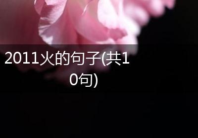 2011火的句子(共10句)