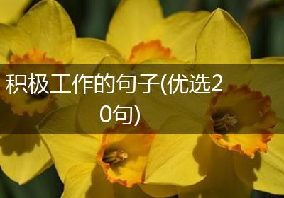 积极工作的句子(优选20句)