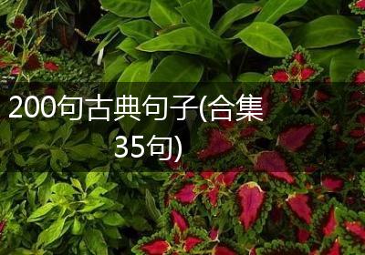 200句古典句子(合集35句)