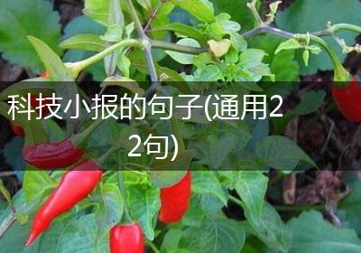科技小报的句子(通用22句)