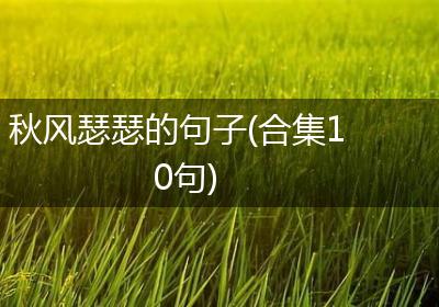 秋风瑟瑟的句子(合集10句)