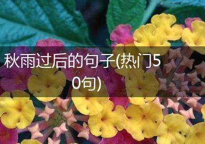 秋雨过后的句子(热门50句)