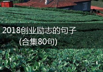 2018创业励志的句子(合集80句)