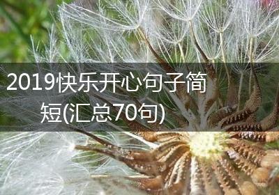 2019快乐开心句子简短(汇总70句)