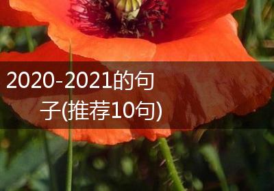 2020-2021的句子(推荐10句)