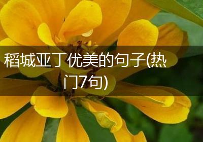 稻城亚丁优美的句子(热门7句)