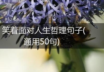 笑着面对人生哲理句子(通用50句)