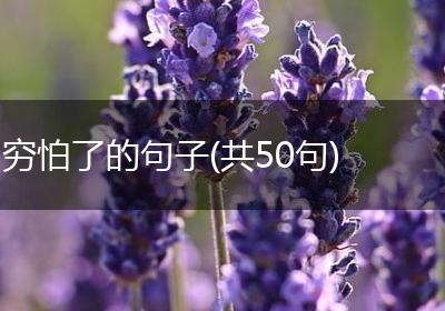 穷怕了的句子(共50句)