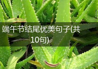 端午节结尾优美句子(共10句)