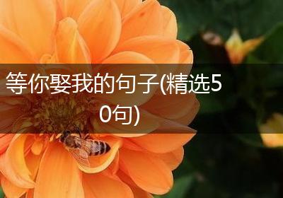 等你娶我的句子(精选50句)