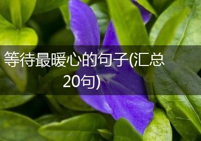 等待最暖心的句子(汇总20句)