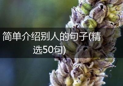 简单介绍别人的句子(精选50句)