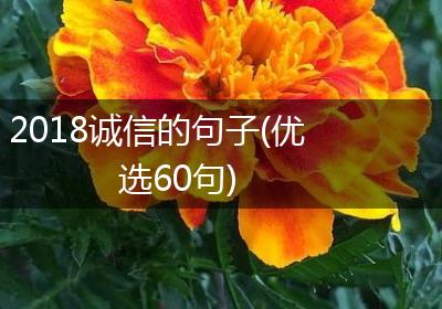 2018诚信的句子(优选60句)