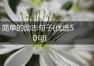 简单的励志句子(优选50句)