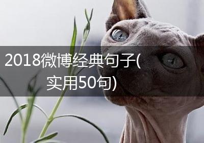 2018微博经典句子(实用50句)