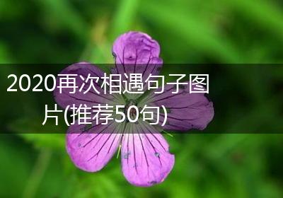 2020再次相遇句子图片(推荐50句)