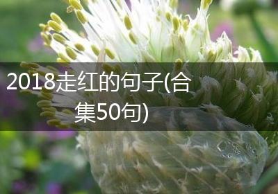 2018走红的句子(合集50句)
