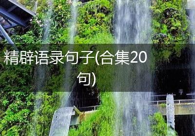 精辟语录句子(合集20句)