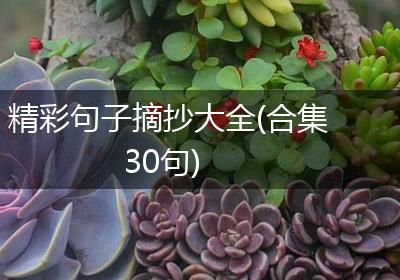 精彩句子摘抄大全(合集30句)