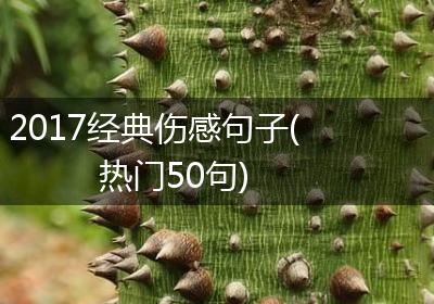 2017经典伤感句子(热门50句)