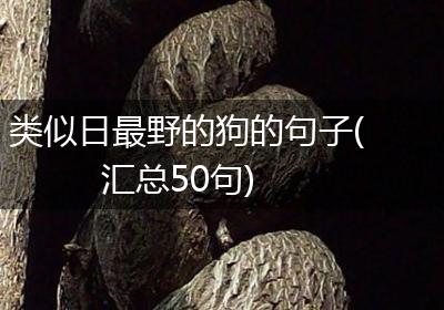 类似日最野的狗的句子(汇总50句)