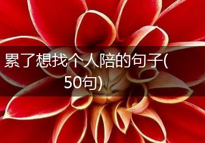 累了想找个人陪的句子(50句)