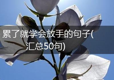累了就学会放手的句子(汇总50句)