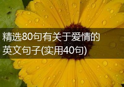 精选80句有关于爱情的英文句子(实用40句)