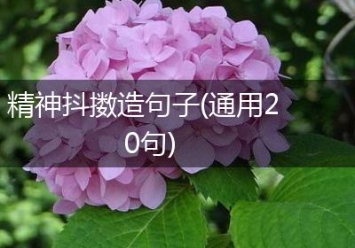 精神抖擞造句子(通用20句)