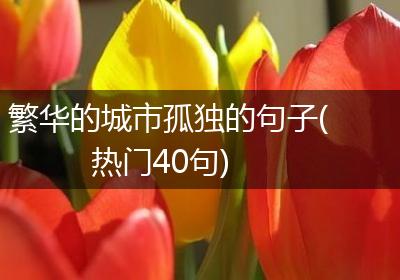 繁华的城市孤独的句子(热门40句)