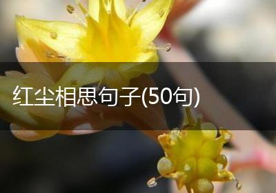 红尘相思句子(50句)